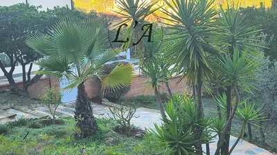 Thumbnail 12