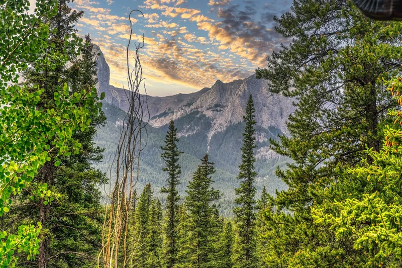 5 Woodside Lane, Canmore, AB T1W 1T1, Canmore, Alberta, Canada. - Photo 35