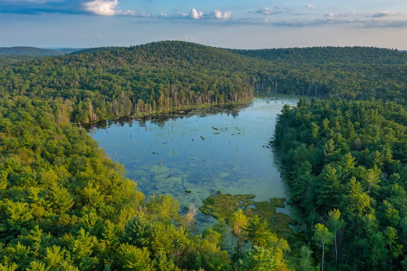 19 Roberts Rd, Sandisfield, MA 01255, Sandisfield, Massachusetts, United States. - Photo 75