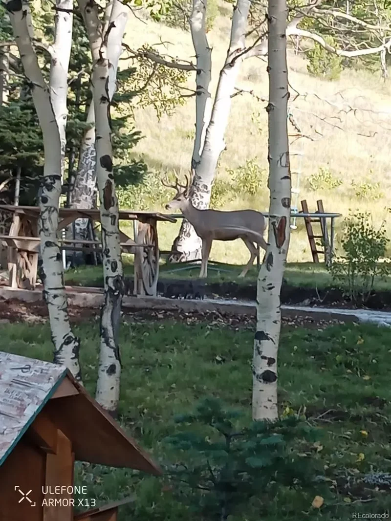 274 County Road 356, Westcliffe, CO 81252, Westcliffe, Colorado, United States. - Photo 28
