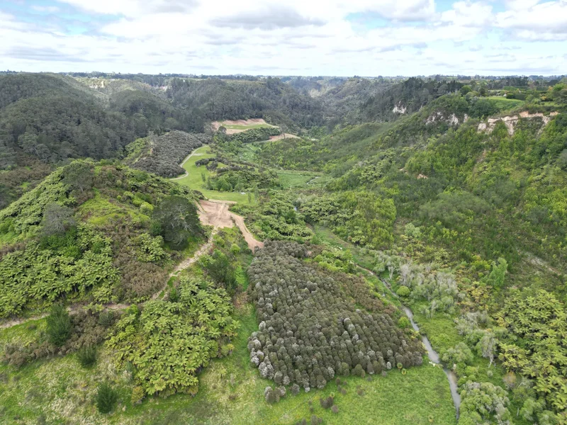 91B Gasson Lane, Pyes Pa, Tauranga 3173, New Zealand, Tauranga, Bay of Plenty, New Zealand. - Photo 8