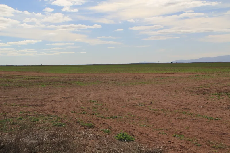 Hopefield, Western Cape, South Africa. - Photo 8