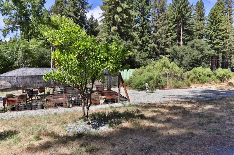165 Coffeeberry Drive, Boulder Creek, California, United States. - Photo 43
