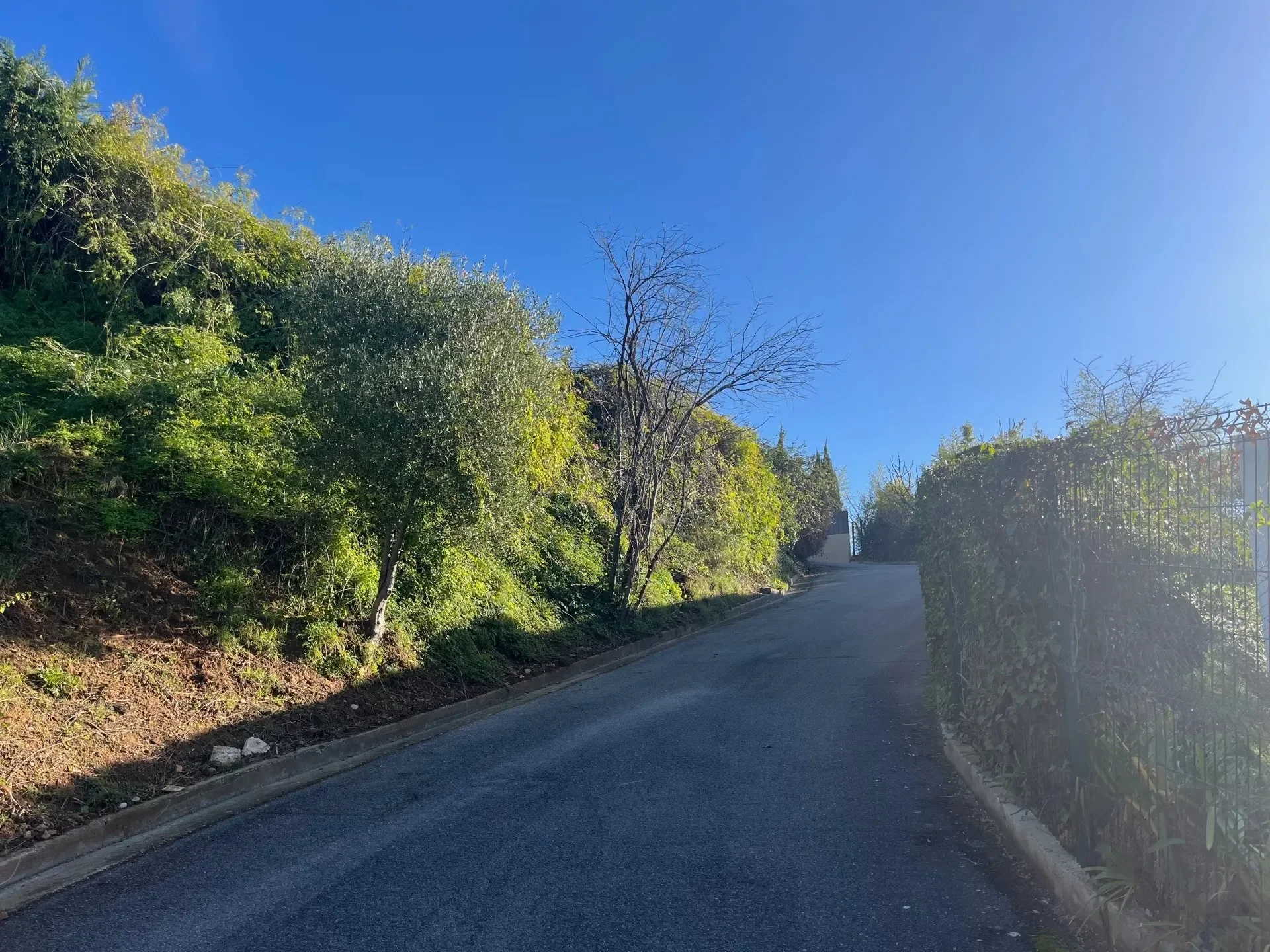 Nice, Provence-Alpes-Côte d'Azur, France. - Photo 9