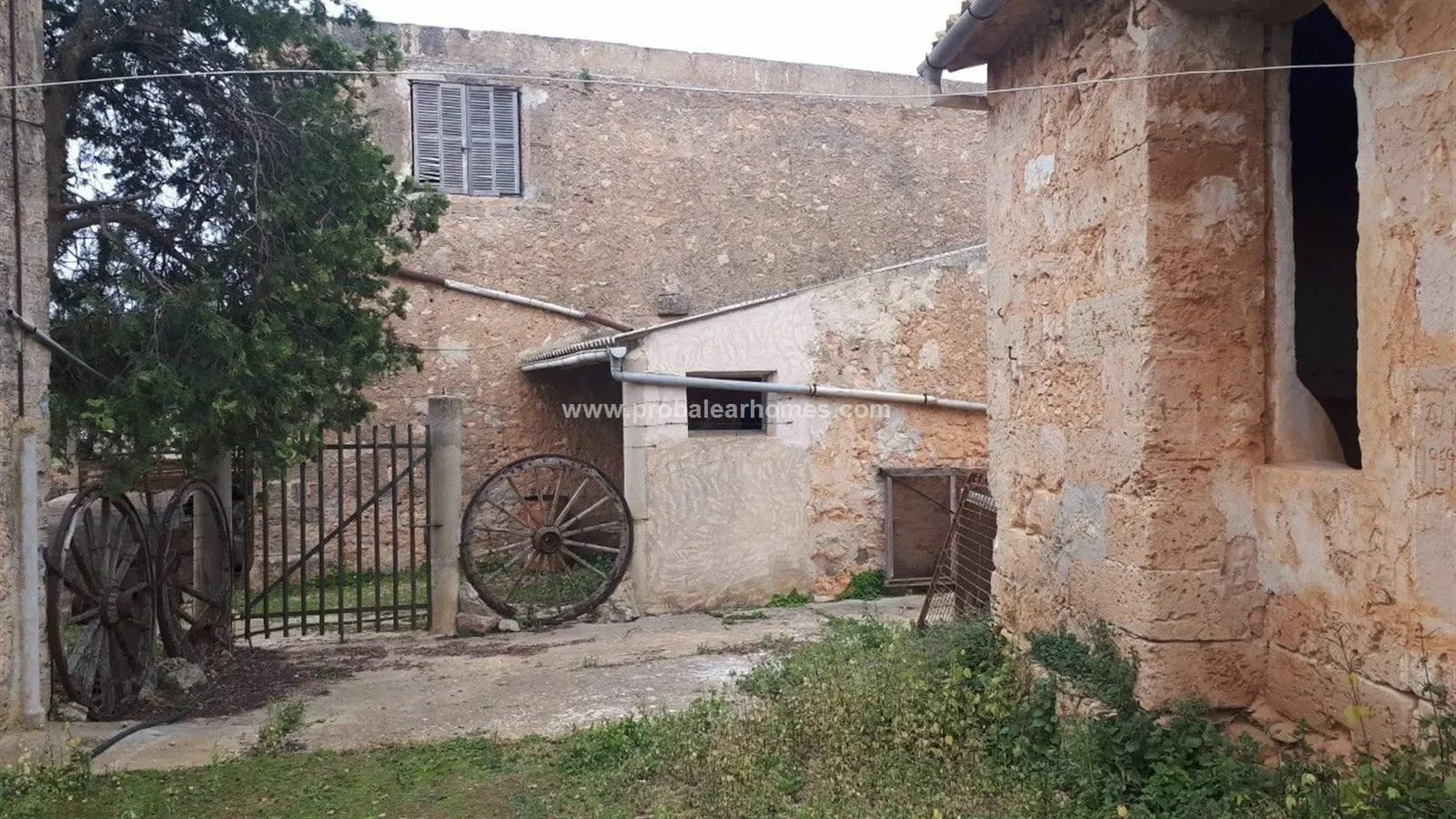 PALMA DE MALLORCA, Baleares, PALMA DE MALLORCA, Palma, Balearic Islands, Spain. - Photo 21