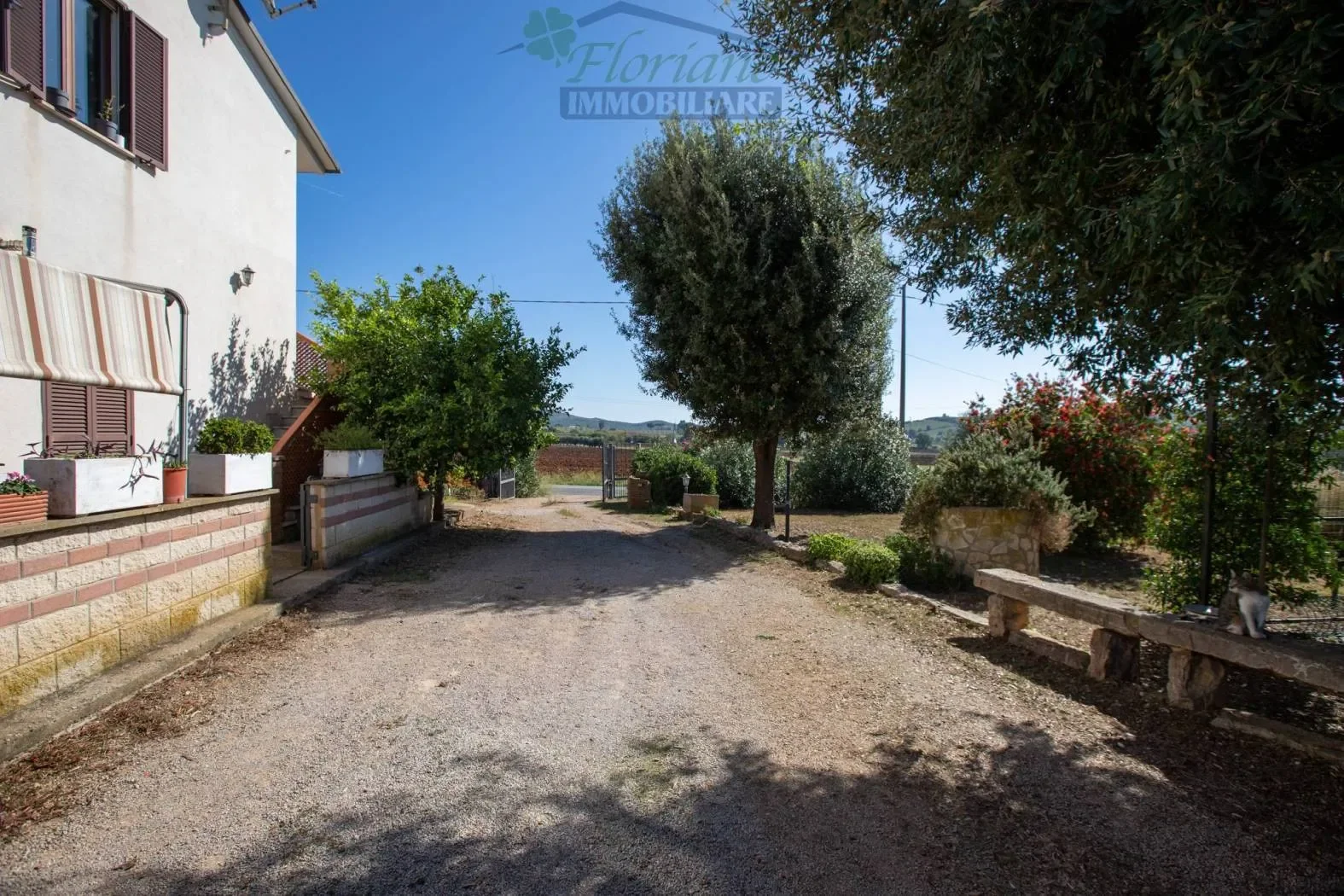 Strada Valmarina, Capalbio, Tuscany, Italy. - Photo 8