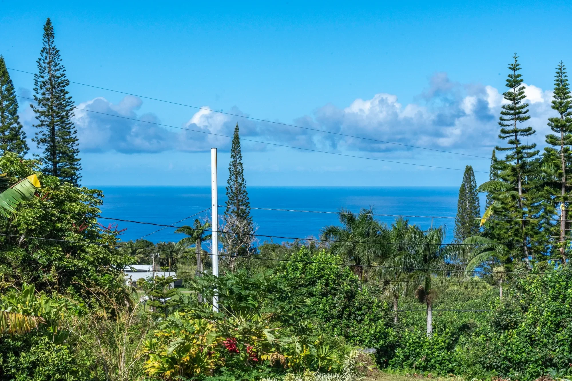8040 Hana Hwy, Haiku, HI 96708, Haiku-Pauwela, Hawaii, United States. - Photo 37