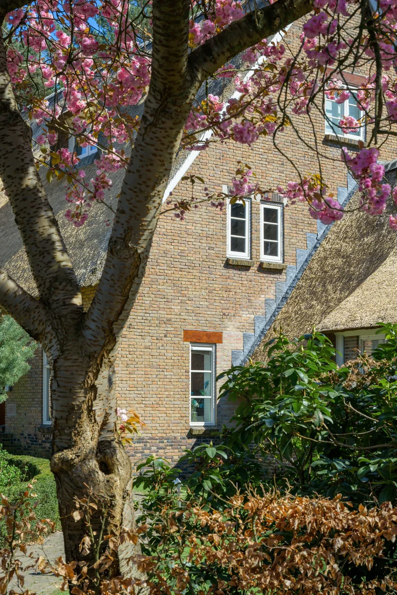 Montenspark 1, Breda, North Brabant, Netherlands. - Photo 4