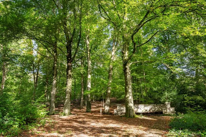 Pinkenbergseweg 37, Velp, Gelderland, Netherlands. - Photo 45