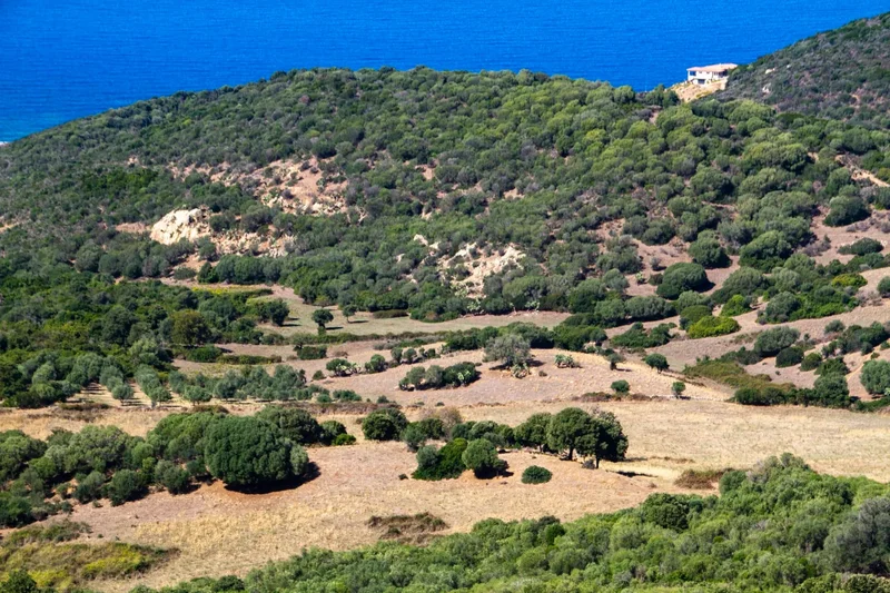 Building plot near Ajaccio