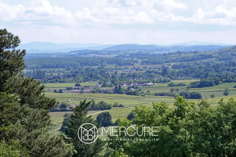 Givry, Bourgogne-Franche-Comté, France. - Photo 5
