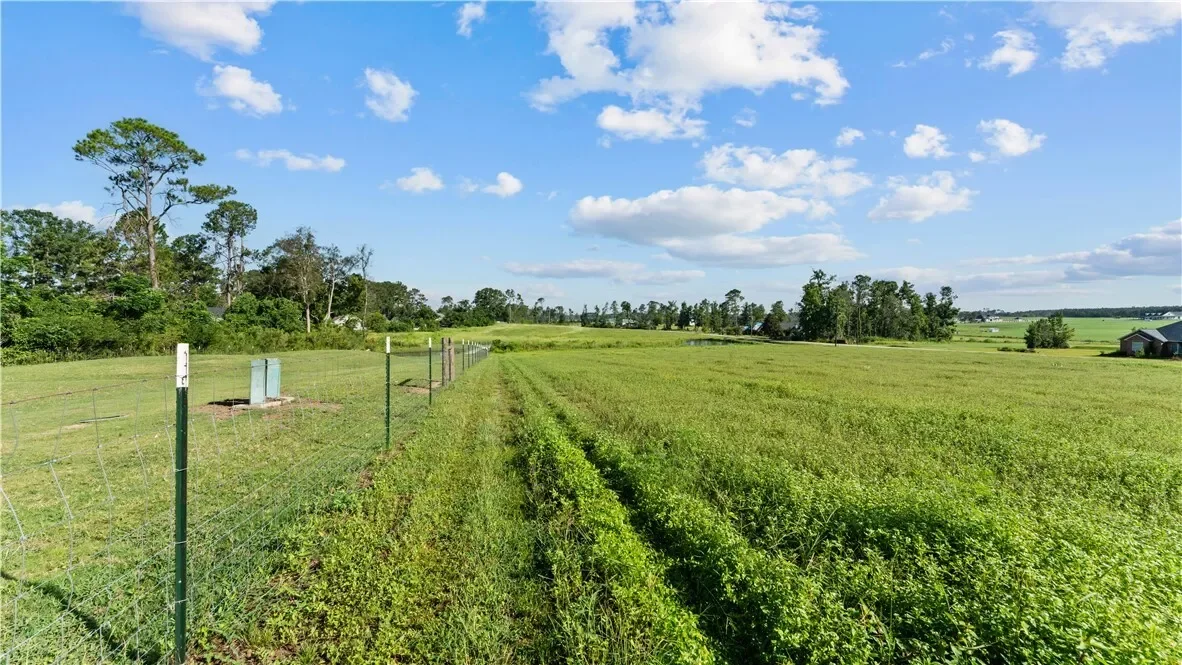 485 Beaver Kreek Road, Other, GA 31533, Douglas, Georgia, United States. - Photo 63