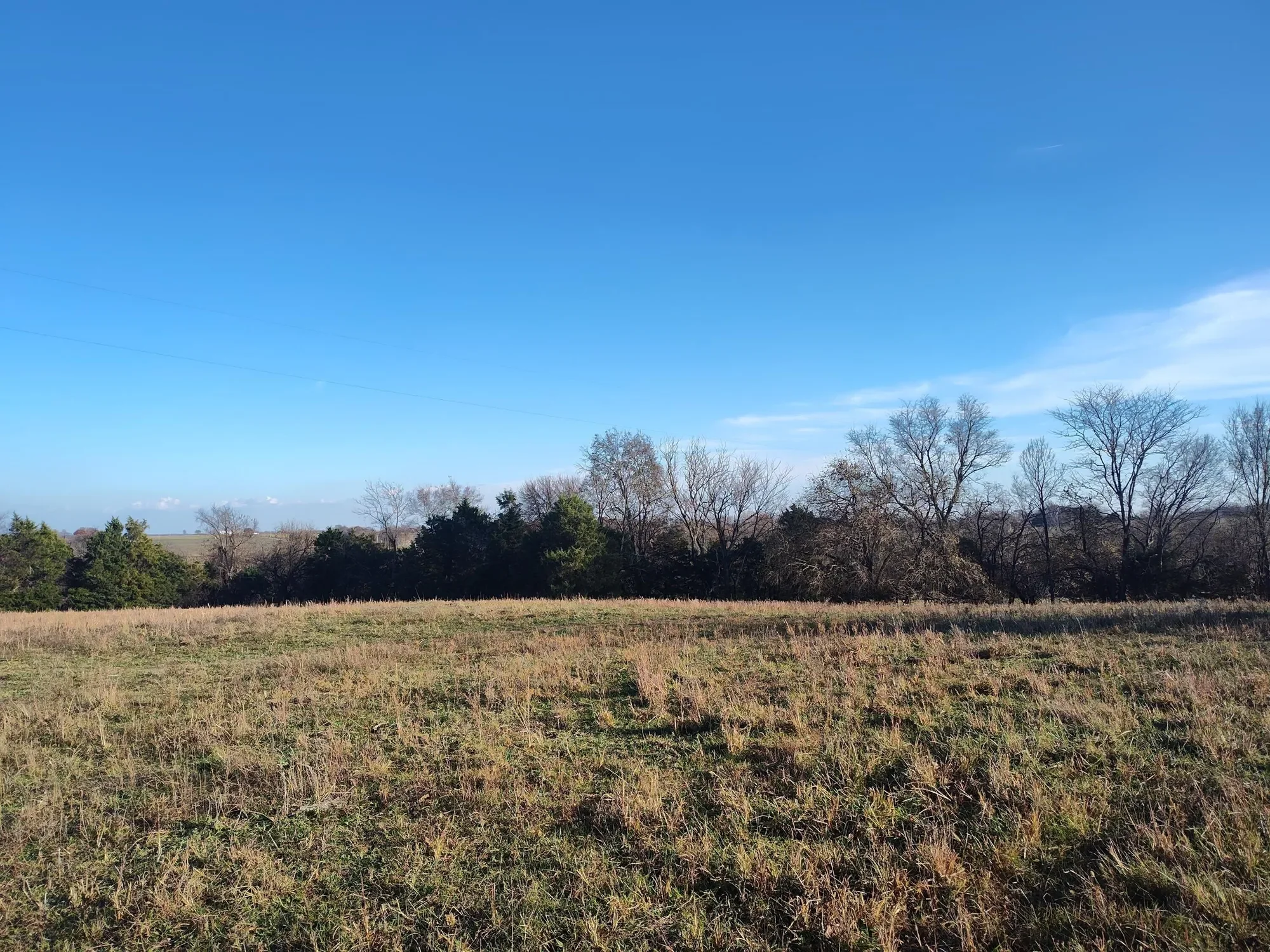 1672 E 355th Road, Bolivar, MO 65613, Pittsburg, Missouri, United States. - Photo 48
