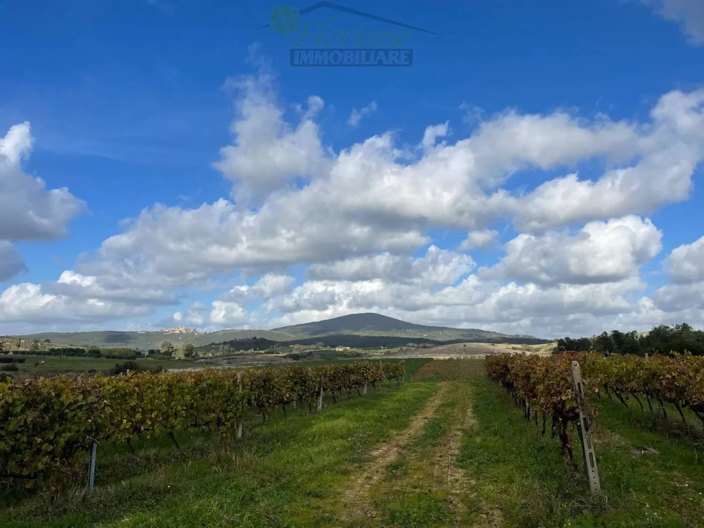 Strada Pedemontana, Capalbio, Tuscany, Italy. - Photo 38