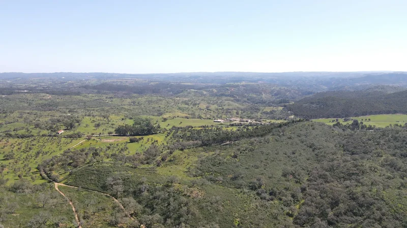 Maceirinha, Sao Salvador e Santa Maria, Beja District, Portugal. - Photo 20