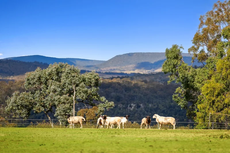 1230 East Egypt Road, Fordsdale, Brisbane, QLD, Fordsdale, Queensland, Australia. - Photo 96