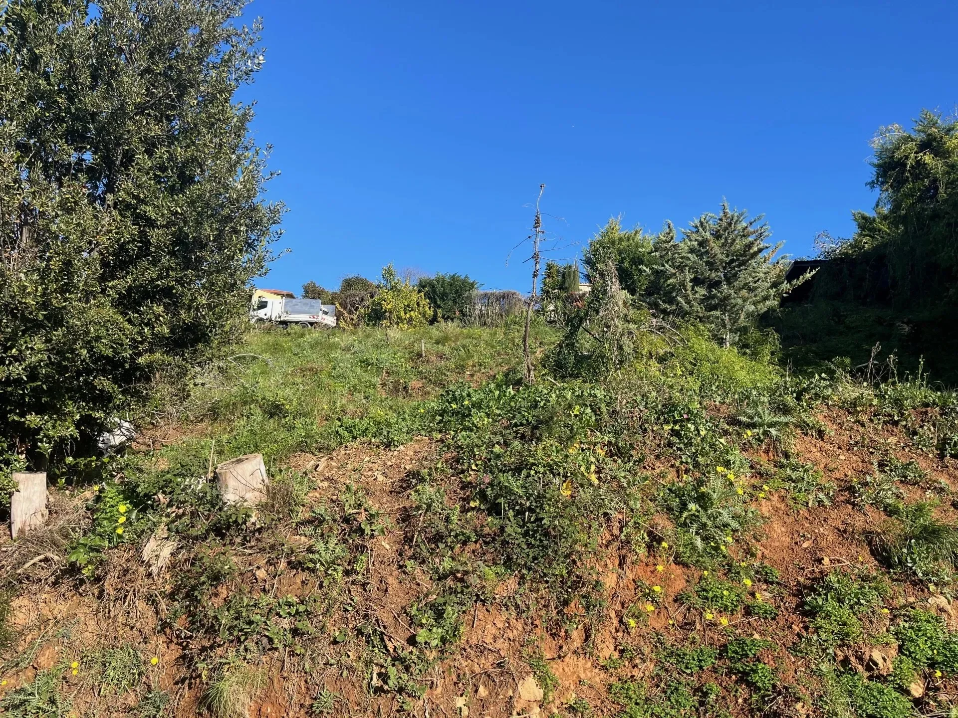 Nice, Provence-Alpes-Côte d'Azur, France. - Photo 1