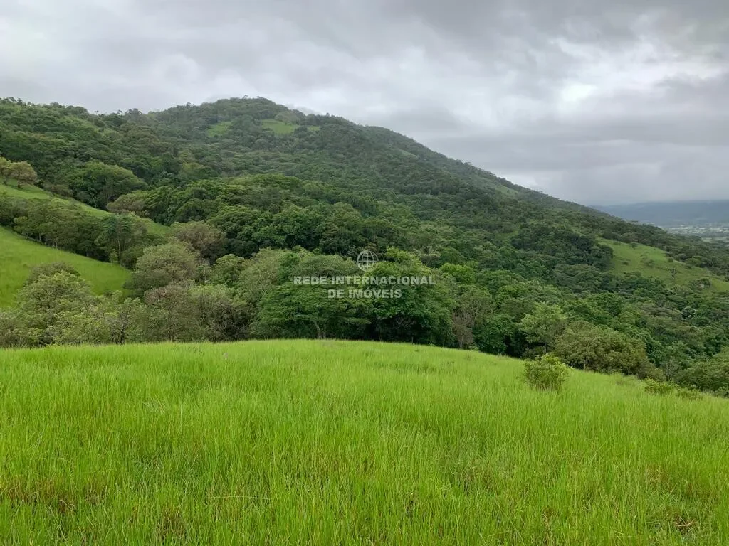 Garopaba, State of Santa Catarina, Brazil. - Photo 17