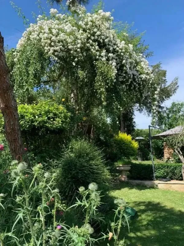 Baillet-en-France, Île-de-France, France. - Photo 15