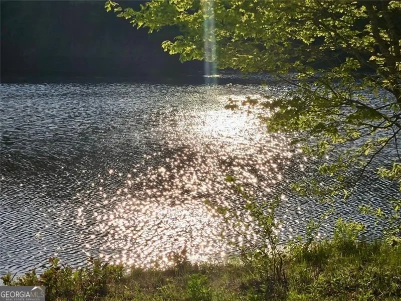 Chattahoochee Hills, Georgia, United States. - Photo 74