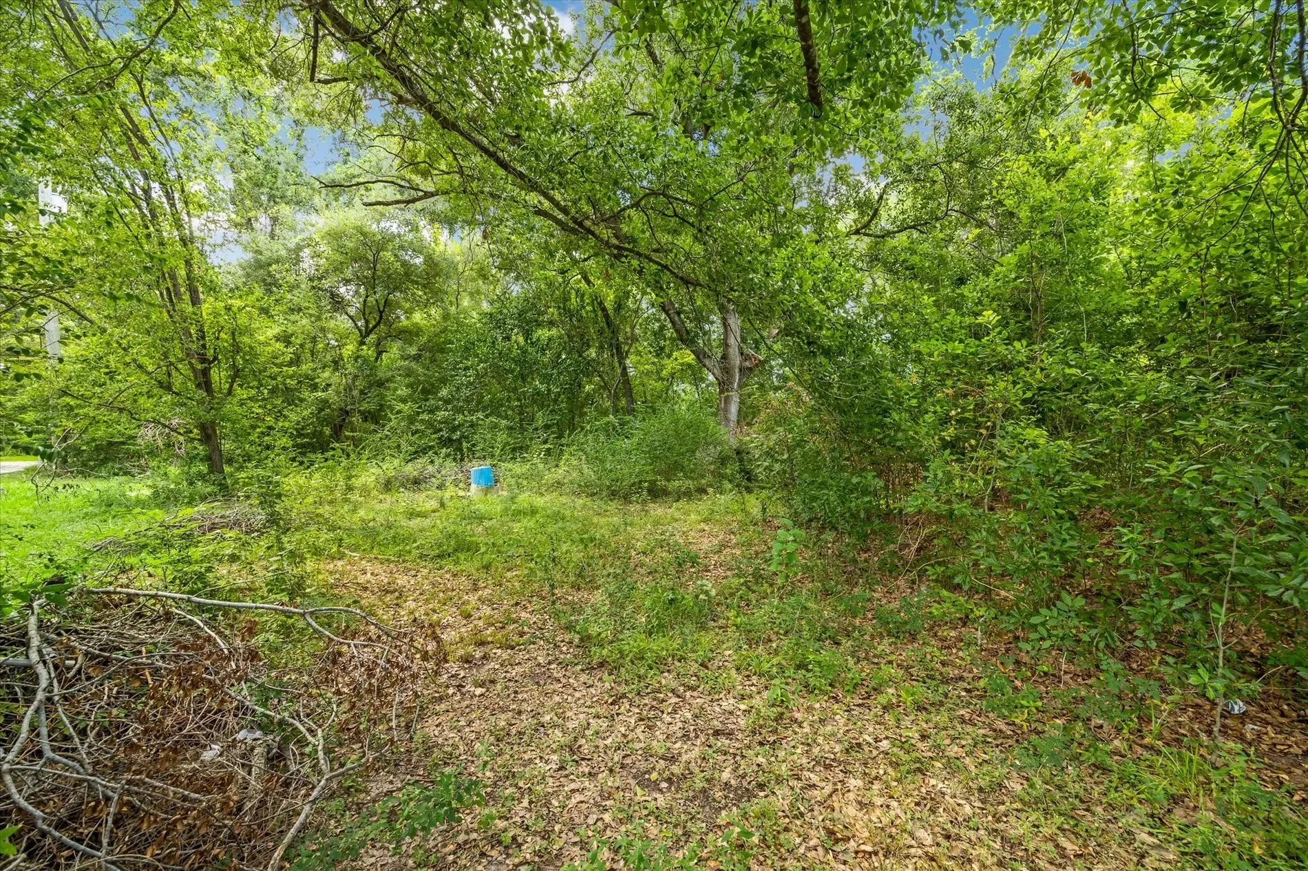 616 Spring Cypress Road, Spring, TX 77373, Spring, Texas, United States. - Photo 3