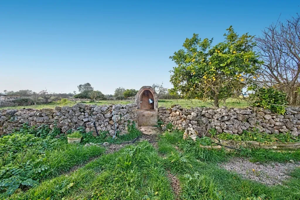 Baleares, Maria de la Salut, Balearic Islands, Spain. - Photo 3