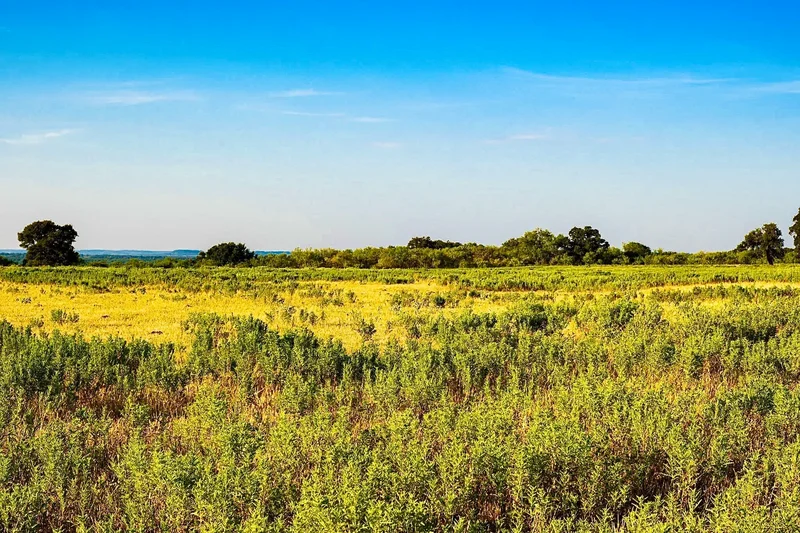 350 CR 194, Comanche, TX 76442, Comanche, TX, United States. - Photo 11