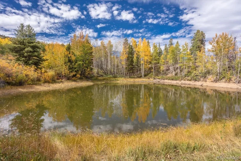 0000 Tbd County Road 28a, Twin Lakes, CO 81251, Twin Lakes, Colorado, United States. - Photo 18