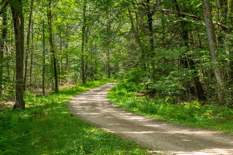 19 Roberts Rd, Sandisfield, MA 01255, Sandisfield, Massachusetts, United States. - Photo 70