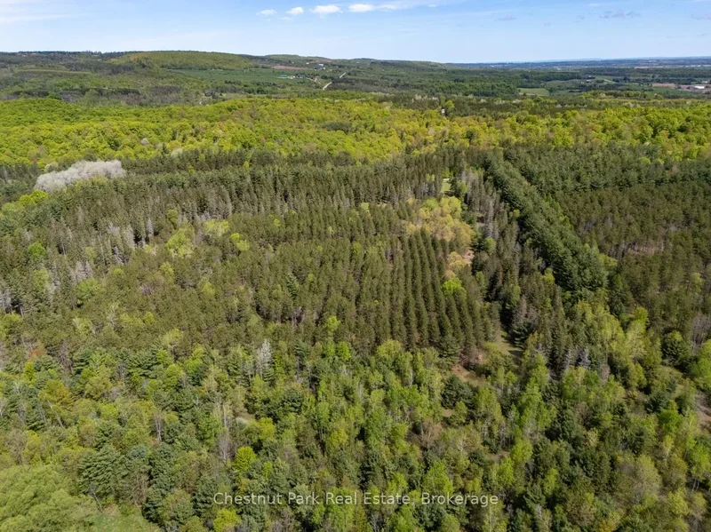 PT 2 LT 24 4th Line E, Shelburne, Ontario, Canada. - Photo 13