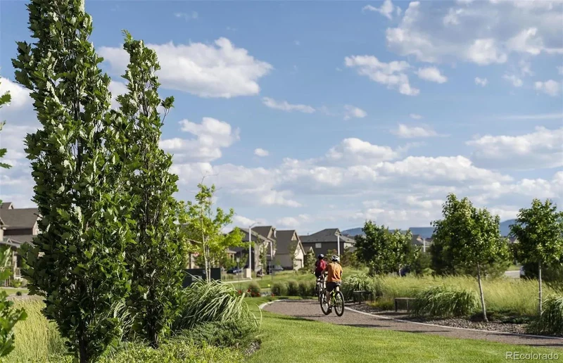 8536 Hotchkiss Street, Sterling Ranch, Colorado, United States. - Photo 20