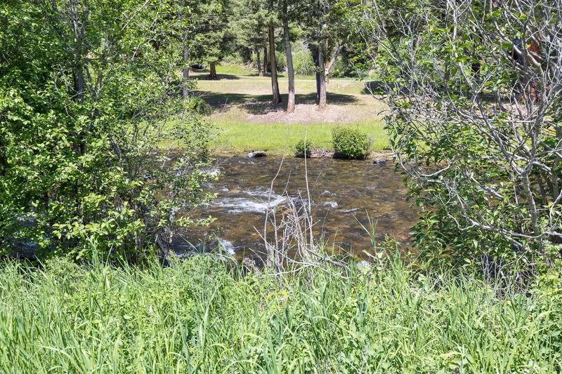 NHN East Fork Road, Sula, MT 59871, Sula, Montana, United States. - Photo 38