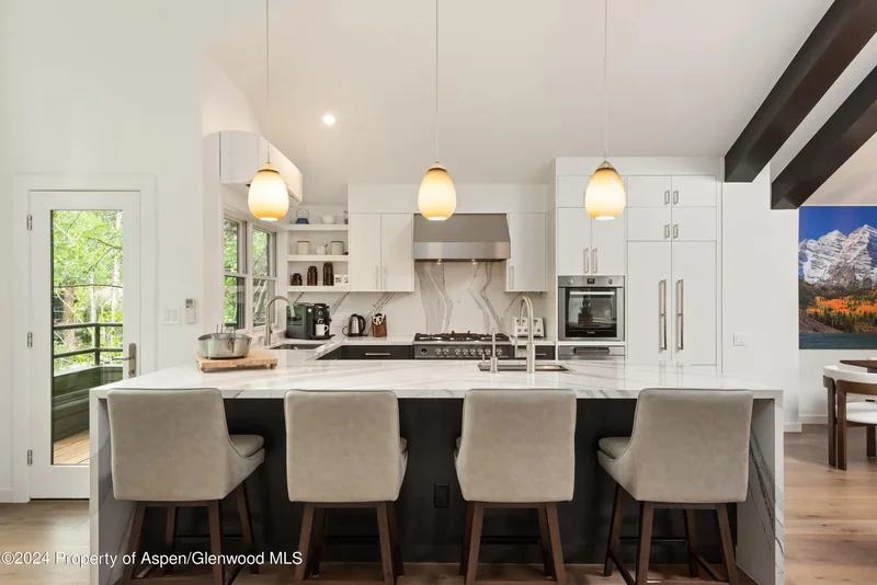 927 E Durant Avenue 3, Aspen, Colorado, United States. - Photo 32