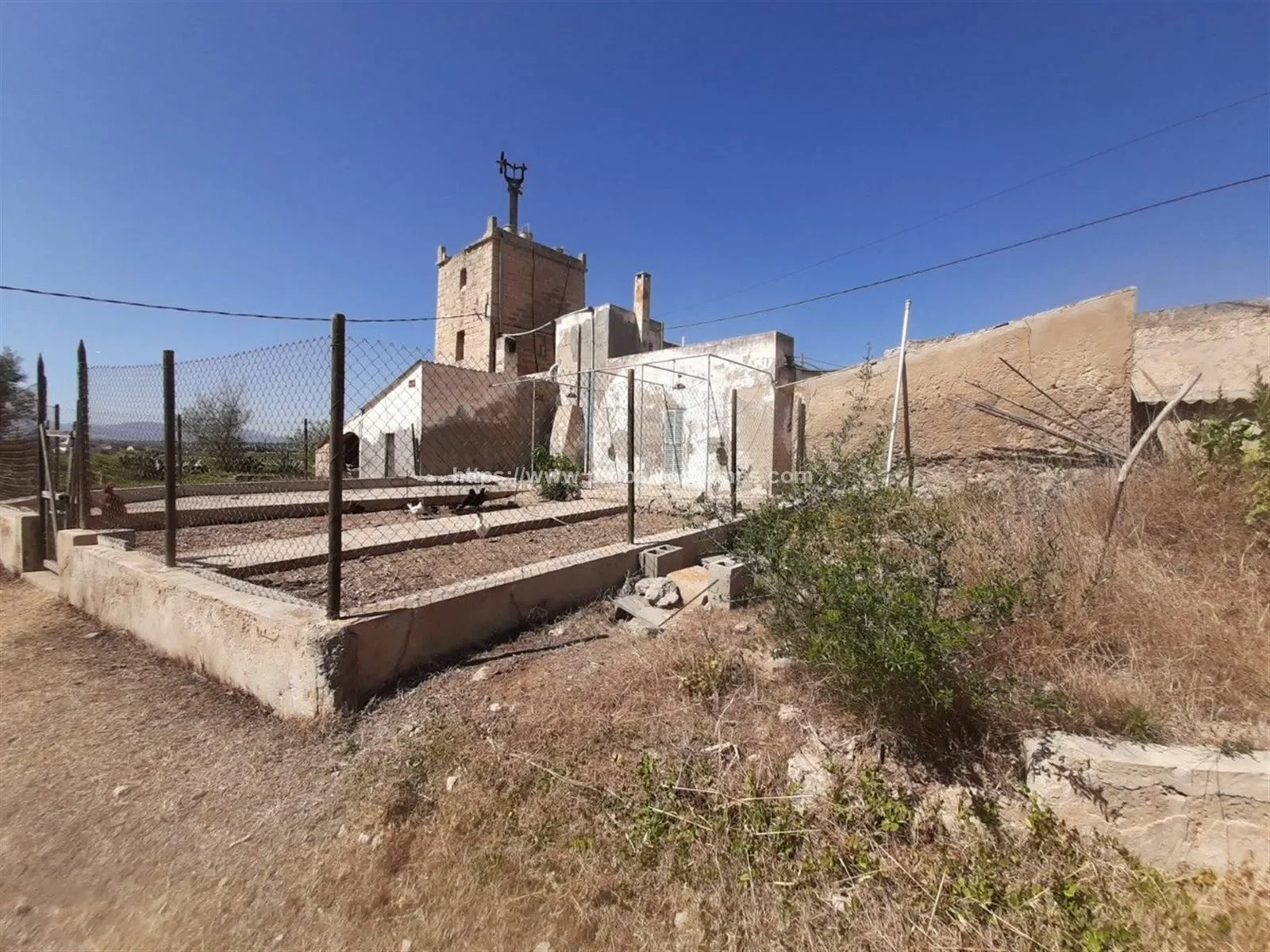 PALMA DE MALLORCA, Baleares, PALMA DE MALLORCA, Palma, Balearic Islands, Spain. - Photo 16