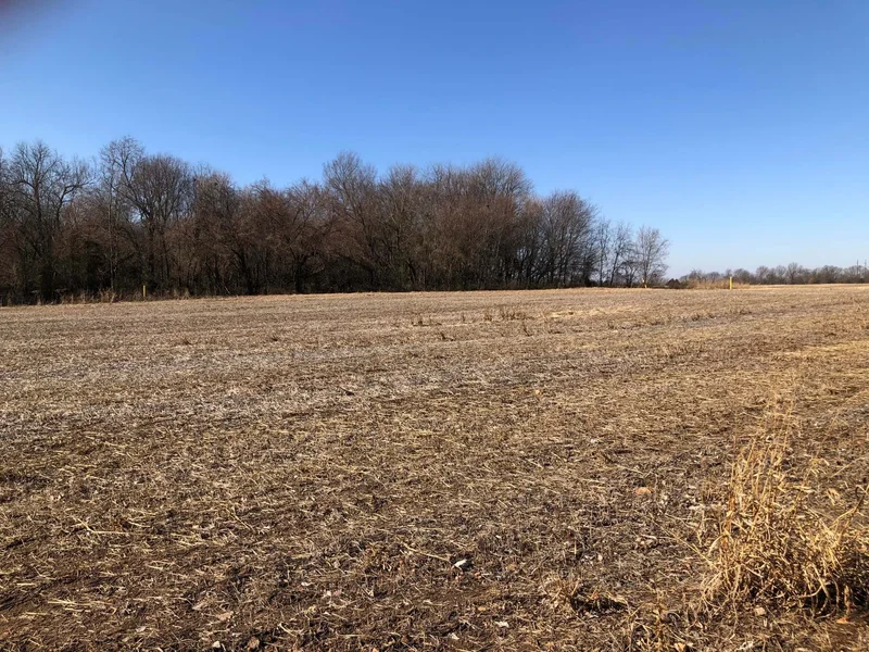 Tbd W Farm Road 148, Republic, MO 65738, Republic, Missouri, United States. - Photo 15