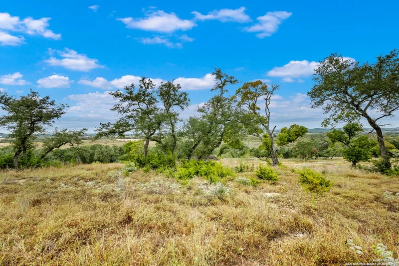 28860 Verde Mountain Trail, San Antonio, TX 78261, San Antonio, Texas, United States. - Photo 20