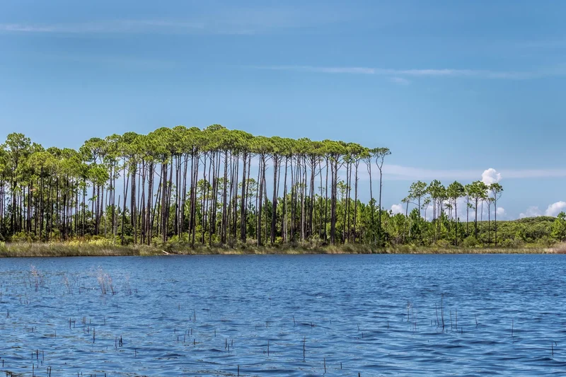 Santa Rosa Beach, Florida, United States. - Photo 89