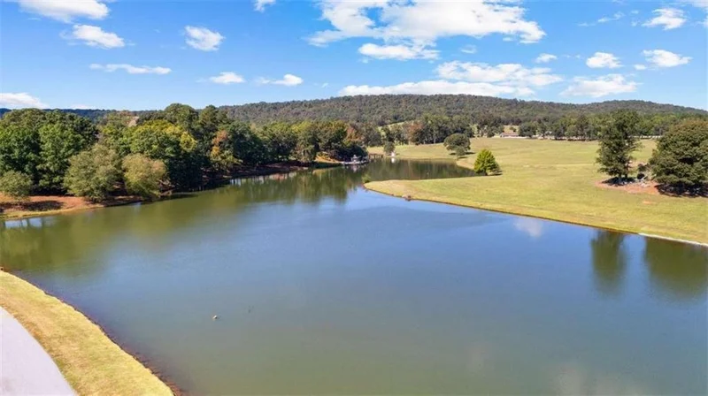 5225 Chalybeate Springs Road, Woodland, GA 31836, Woodland, Georgia, United States. - Photo 45