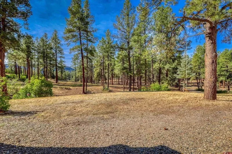 704 Two Bear Drive, Pagosa Springs, Colorado, United States. - Photo 4