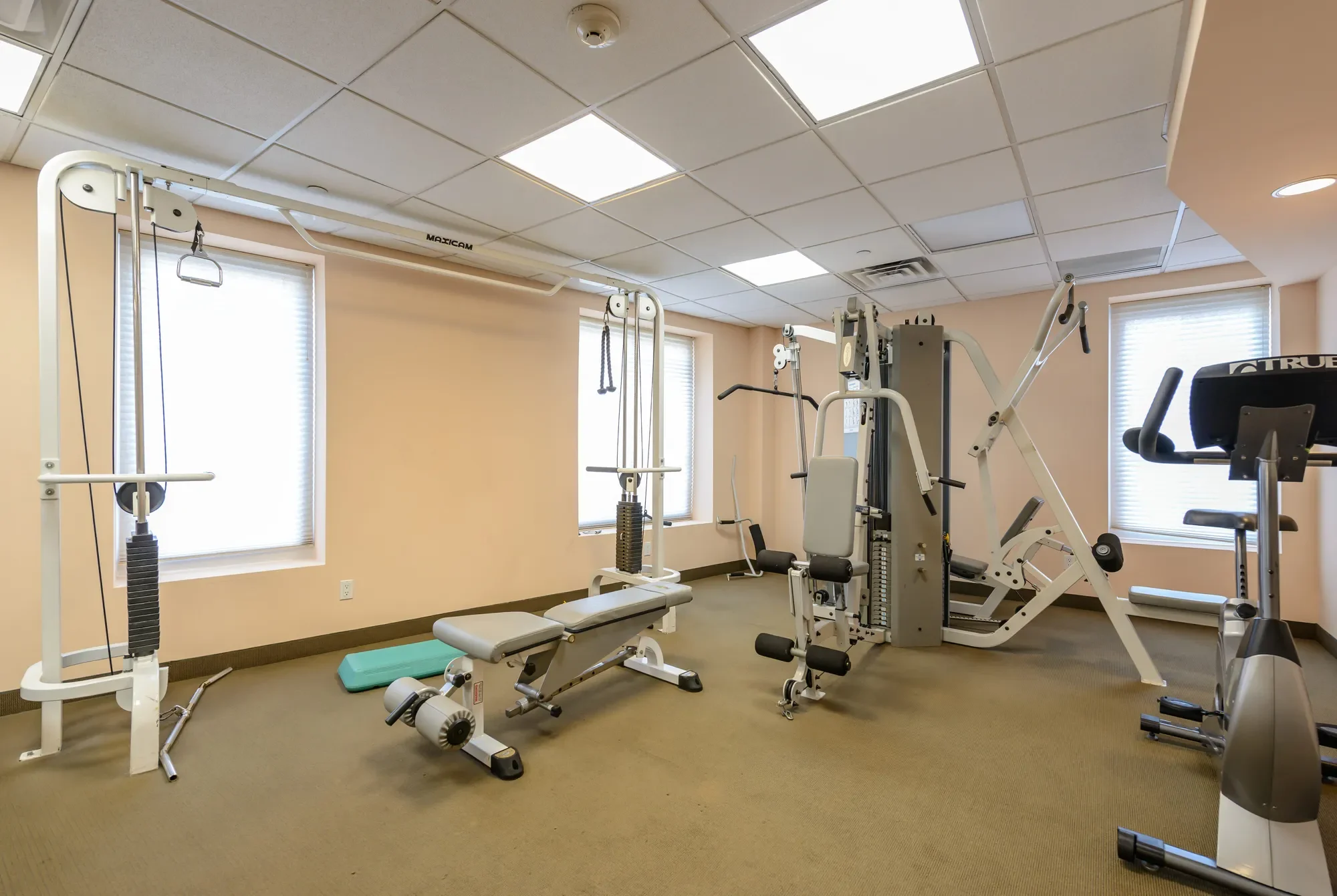 242 Maple Unit# 501, Westbury, NY 11590, Salisbury, New York, United States. - Photo 29