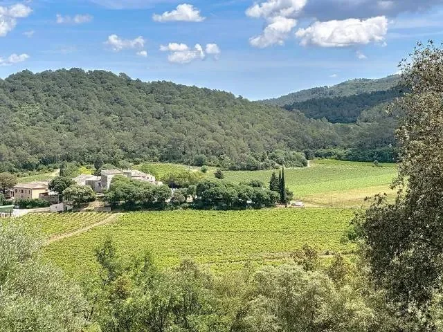 Carcès, Provence-Alpes-Côte d'Azur, France. - Photo 18