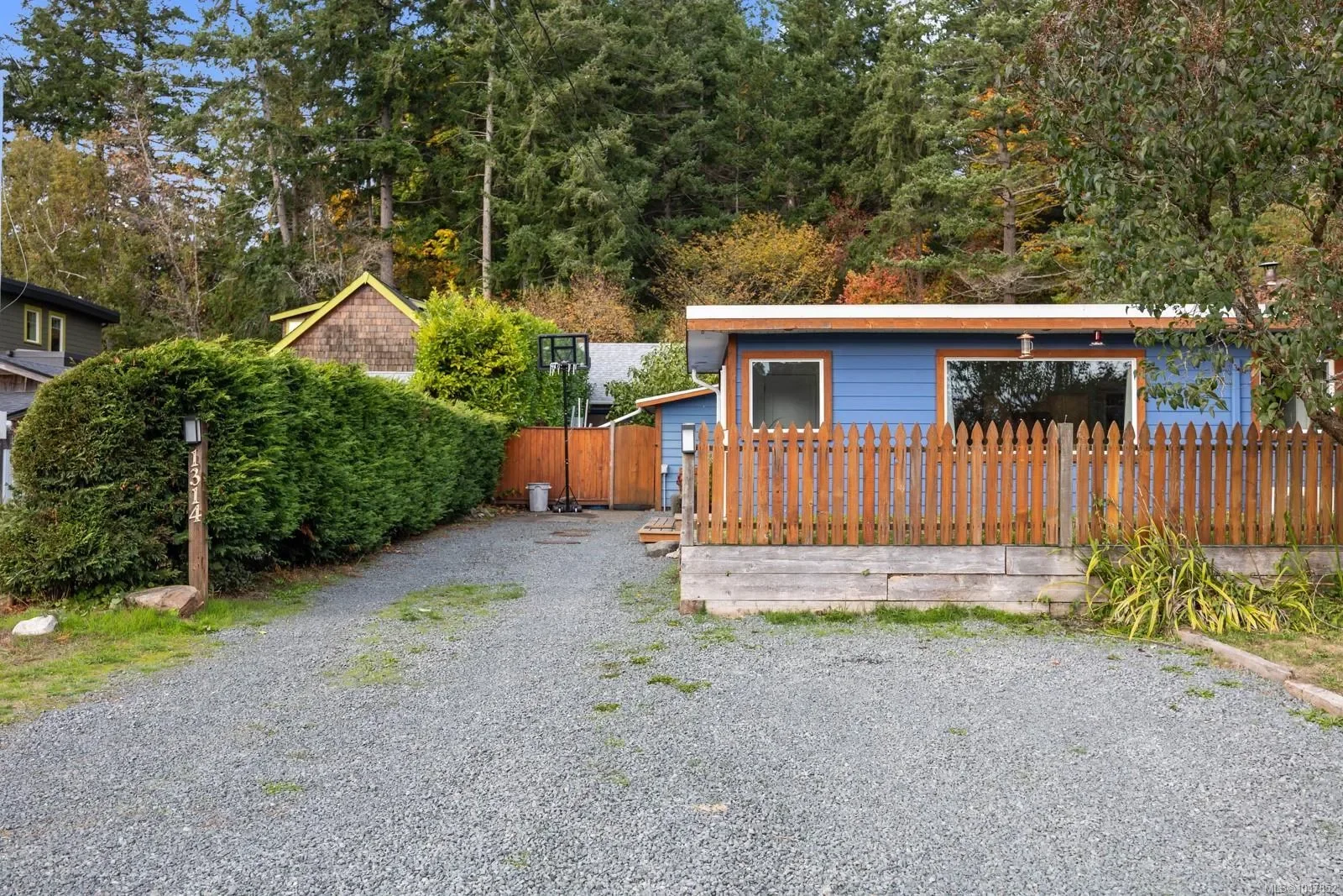 Gallery photo 11