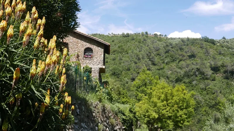 Dolceacqua, Liguria, Italy. - Photo 6