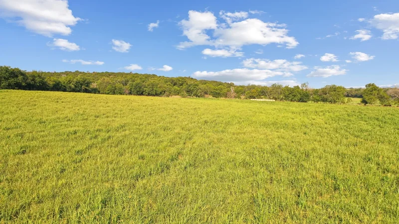 2296 County Road 290, Dublin, TX 76446, Dublin, Texas, United States. - Photo 16
