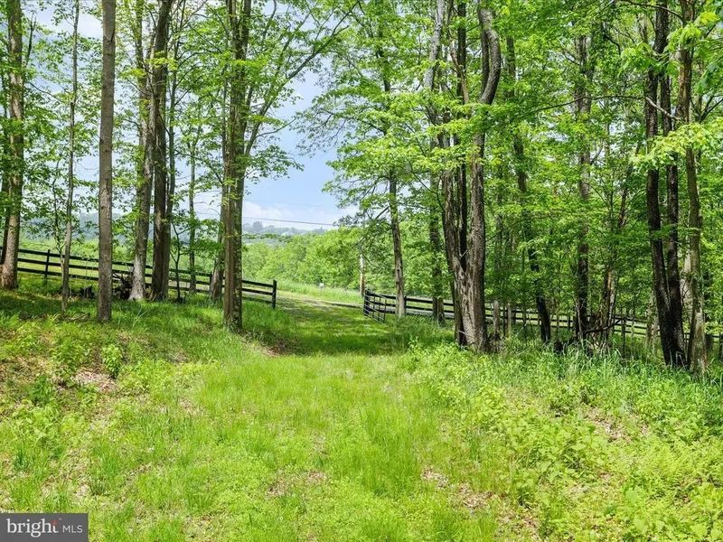 1240 BOY SCOUT RD ROAD, OAKLAND, MD 21550, McHenry, Maryland, United States. - Photo 141