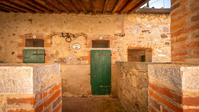 53013 Gaiole in Chianti, Province of Siena, Italy, Castagnoli, Tuscany, Italy. - Photo 15