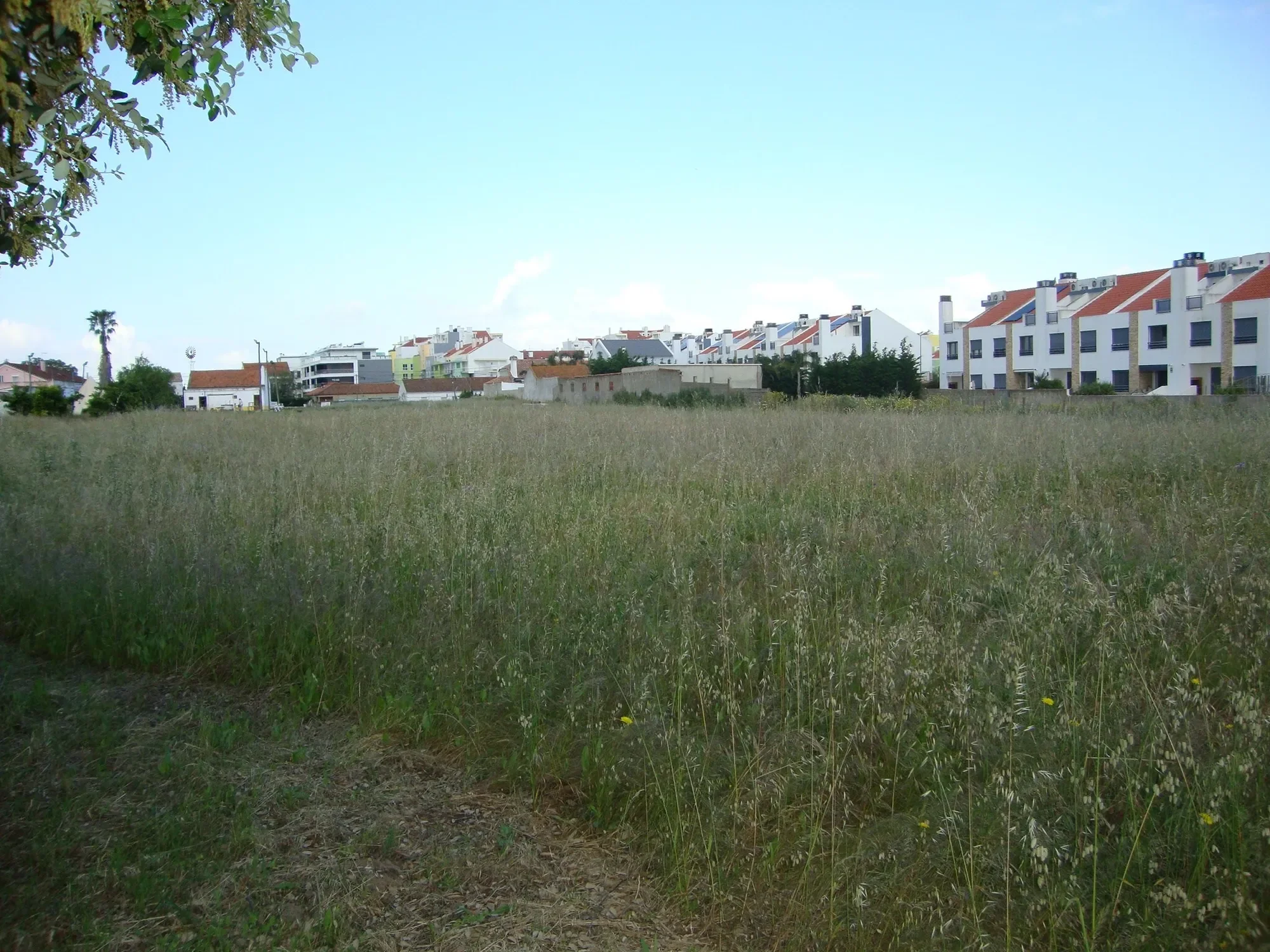 Setúbal, Alcochete, Setubal, Portugal. - Photo 15