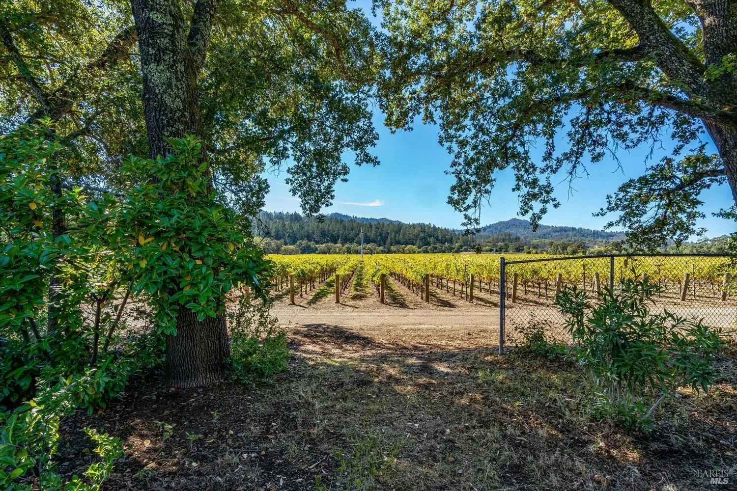 1110 Bale Lane, Calistoga, California, United States. - Photo 49