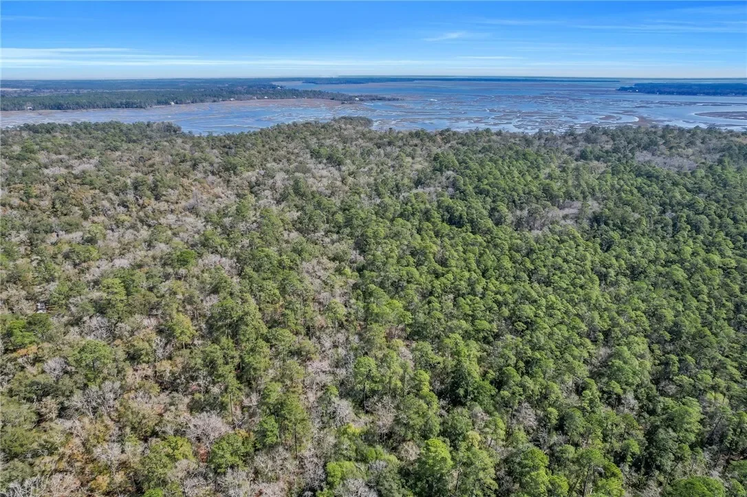 0 Drizzle Bluff Road, Woodbine, GA 31569, Woodbine, Georgia, United States. - Photo 2