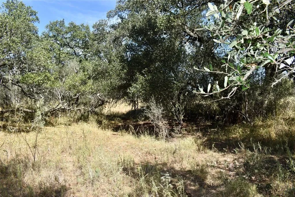 19319 Ranch Road 1871, Mason, Texas, United States. - Photo 25